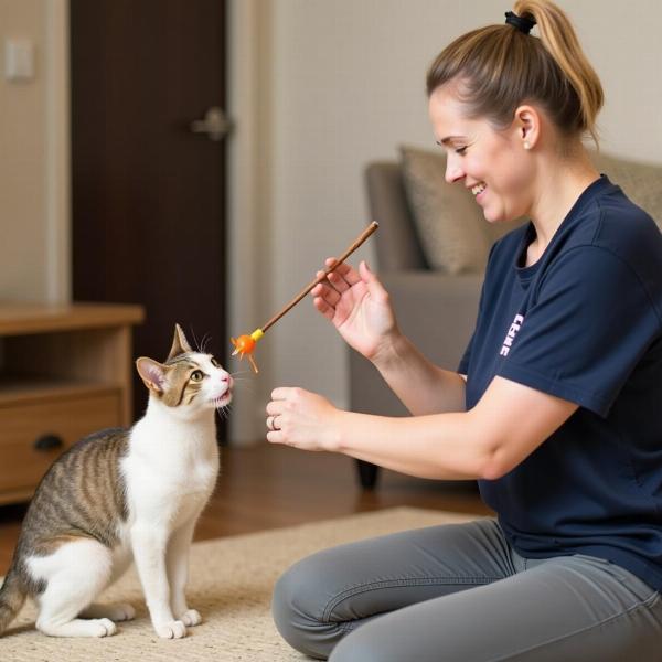 Adiestrador de Gatos: La Clave para una Convivencia Armoniosa