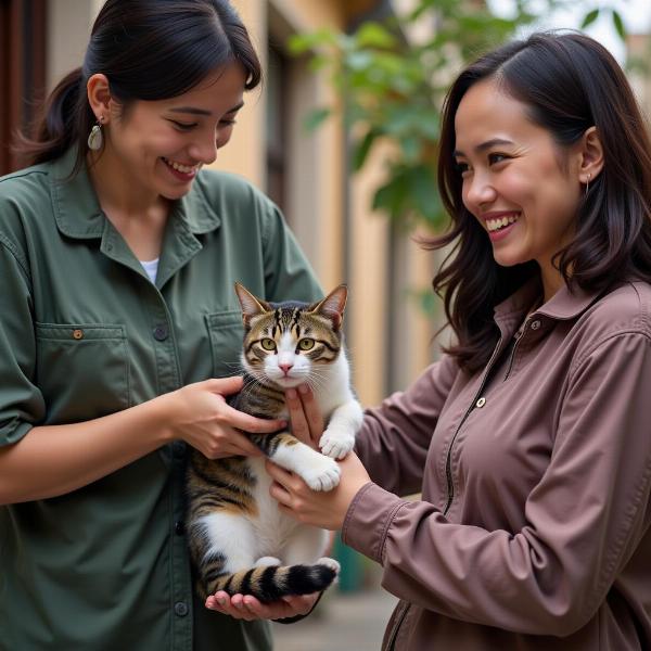 Adopción de gatos en Vitoria en protectoras