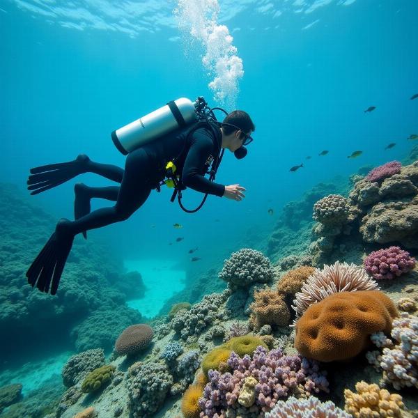 Buceo en Cabo de Gata: Precios Accesibles