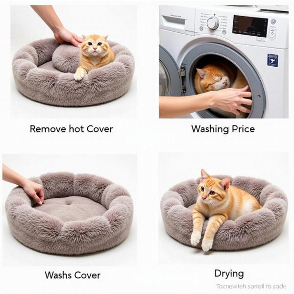 Limpieza de cuchas para gatos