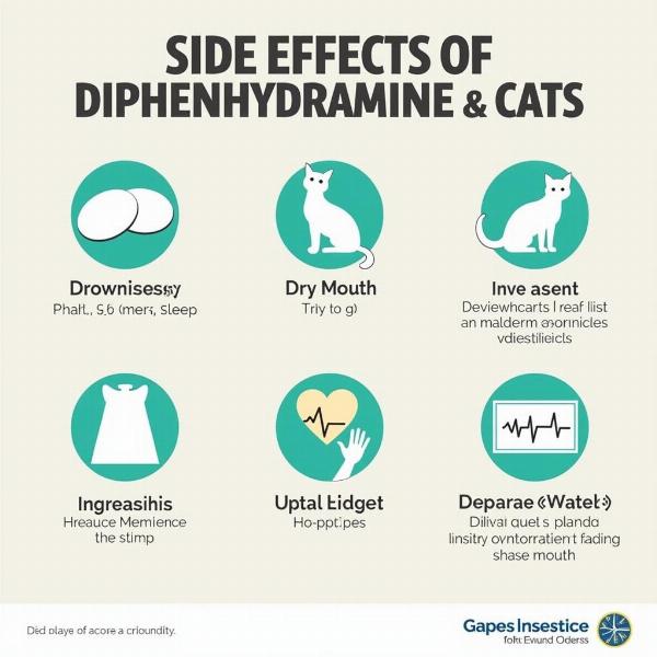 Posibles efectos secundarios de la difenhidramina en gatos