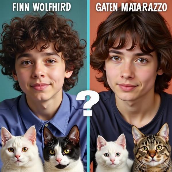 Finn o Gaten: la decisión final para el nombre del gato