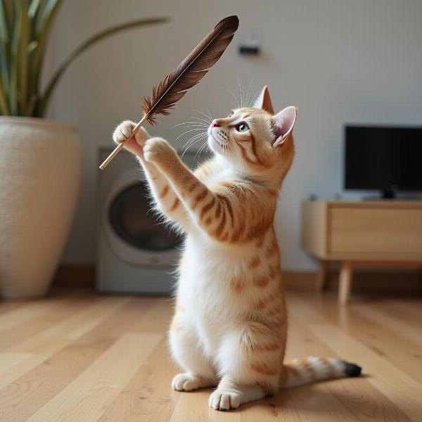 Gato jugando con un juguete