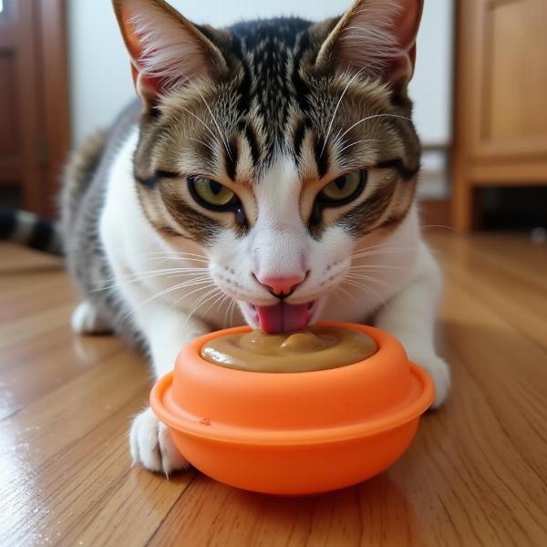 Gato lamiendo crema de cacahuate de un juguete