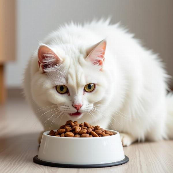 Gato Siberiano Blanco: La Belleza Invernal en tu Hogar