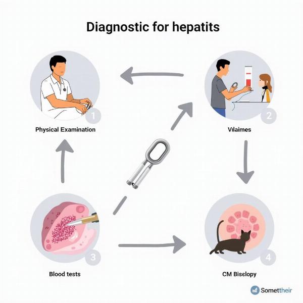 Diagnóstico de la hepatitis en gatos