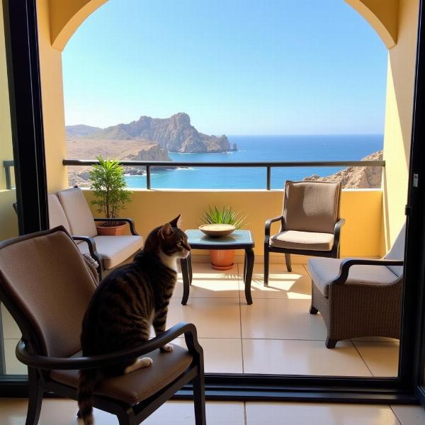 Gato disfrutando del balcón en un hotel de Cabo de Gata