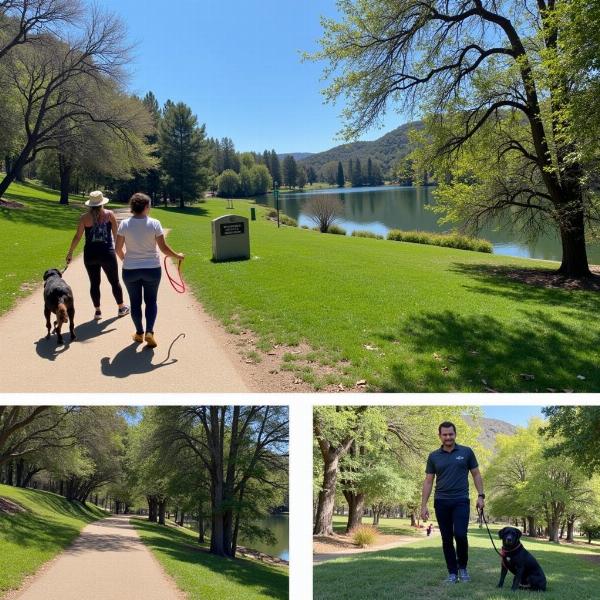 Parque Vasona Lake en Los Gatos