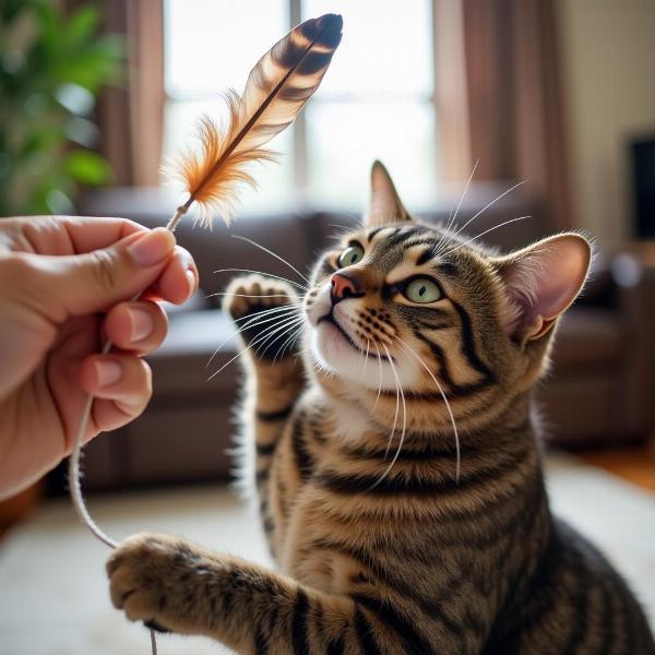 Gato jugando con una pluma atada a un hilo