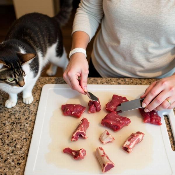 Preparación de una dieta BARF para gatos