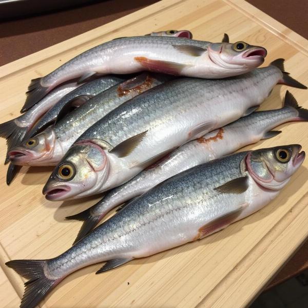 Preparando sardinas frescas para un gato