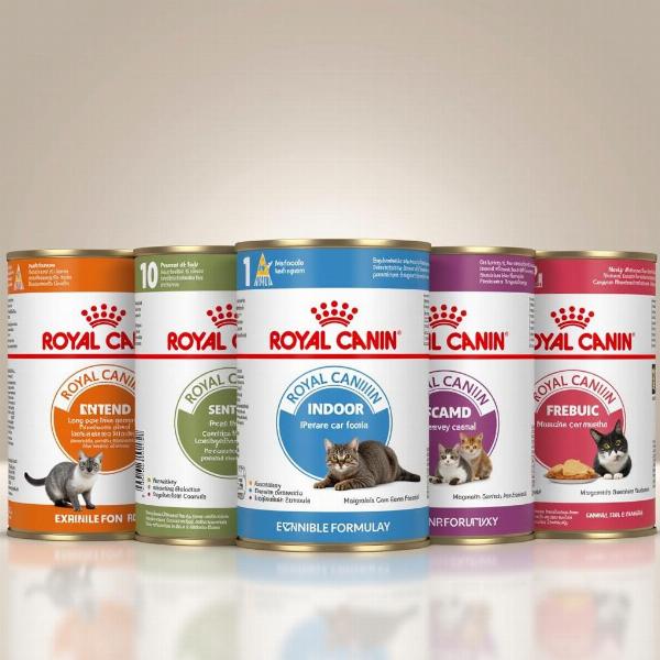 Variedad de latas Royal Canin para gatos