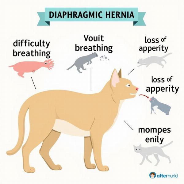 Síntomas de la hernia diafragmática en gatos