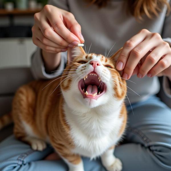 Eliminar Parásitos Intestinales en Gatos: Guía Completa